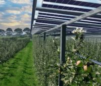 Im Bild der Agri-PV-Bausatz zur Selbstmontage für Landwirte von Gridparity
